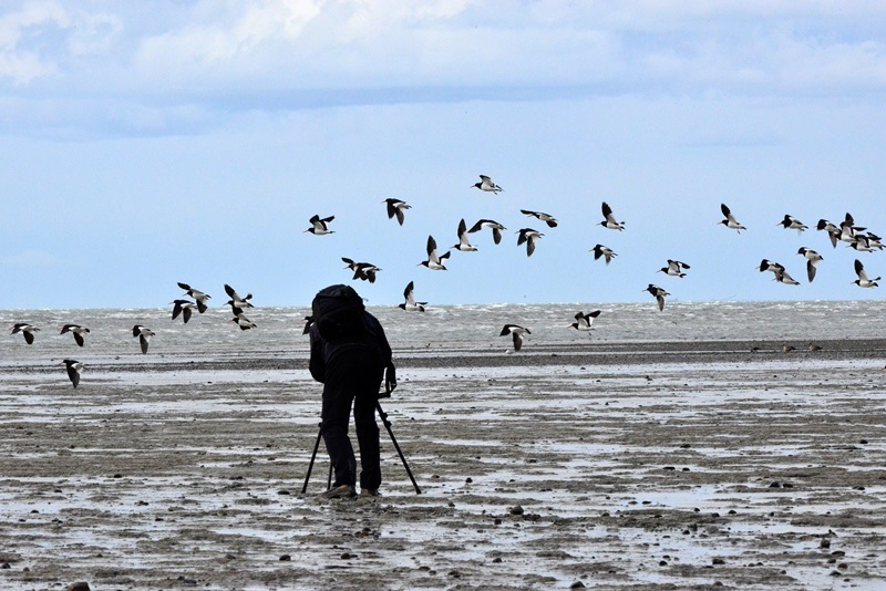 Próximo encuentro de Guías en Puerto Natales genera gran interés en el sector turístico