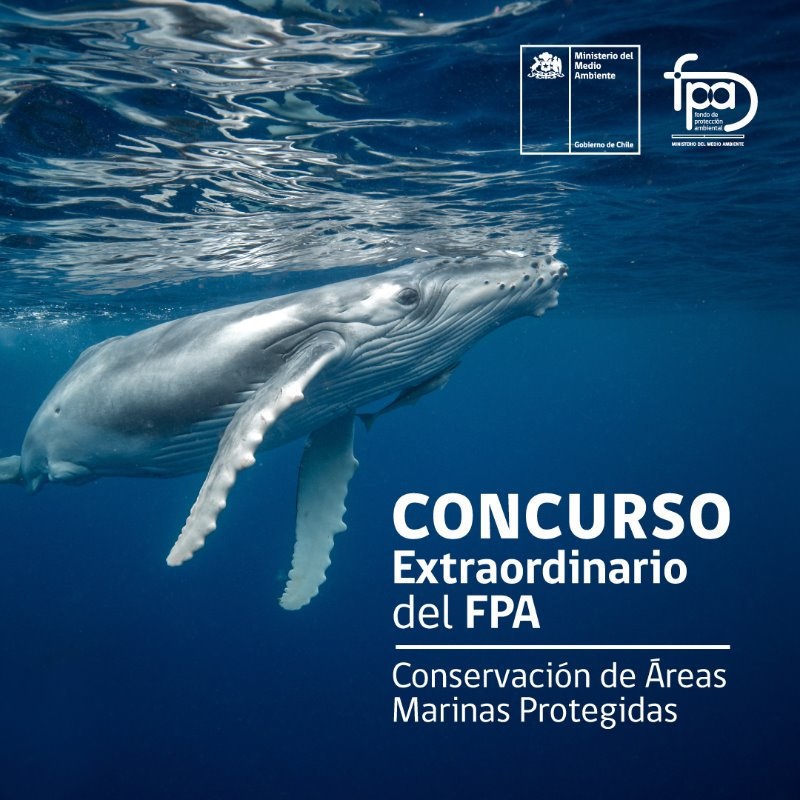 Ministerio del Medio Ambiente convoca a participar del concurso “Conservación de Áreas Marinas Protegidas”