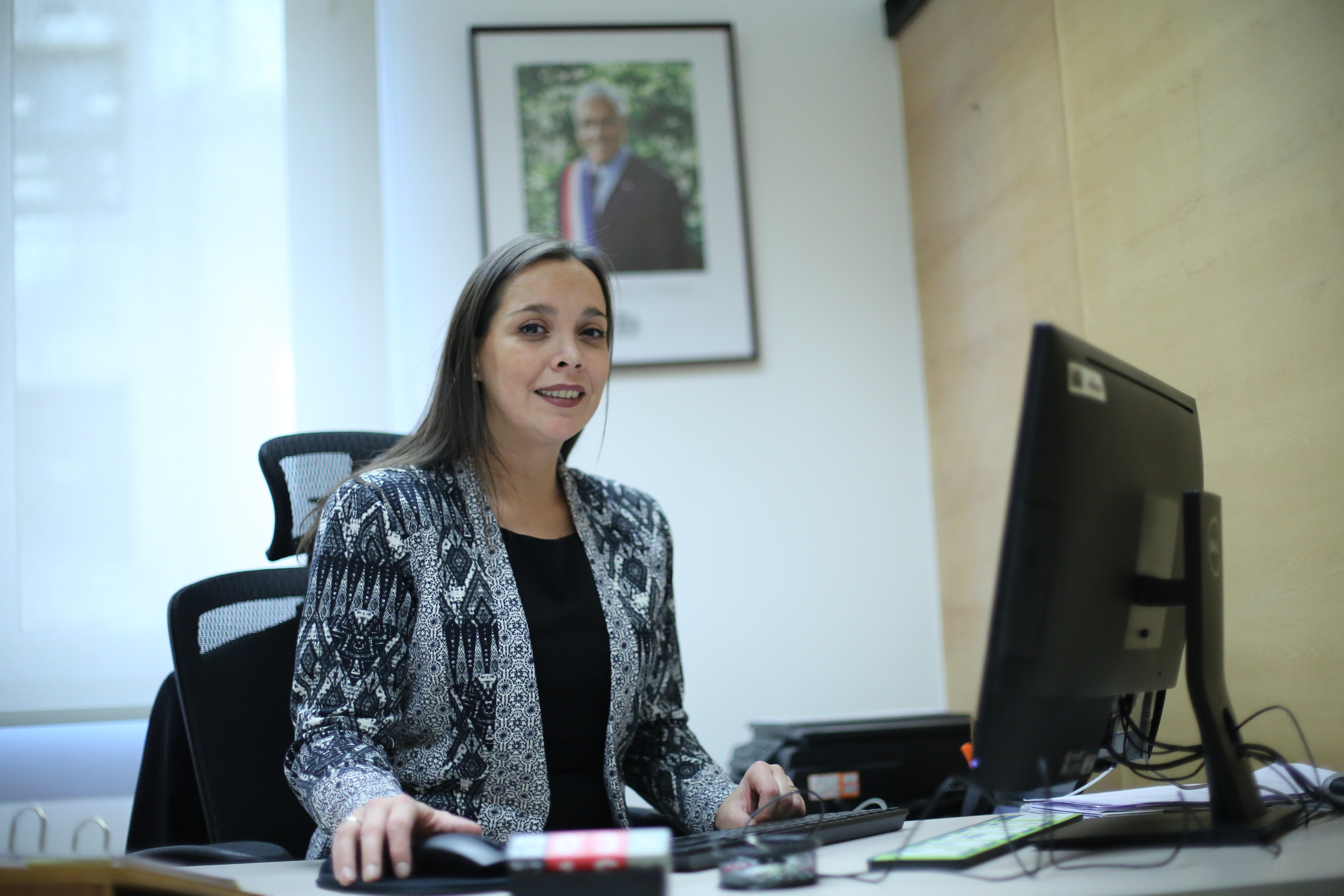 A través del Fondo Nacional de Seguridad Pública 2019: Subsecretaría de Prevención del Delito financiará proyecto de Prevención de Violencia Escolar a Municipio de Punta Arenas