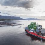 Empresarios salmoneros de Magallanes reiteran su preocupación por proyecto de la senadora Carolina Goic que modifica plazos de concesiones