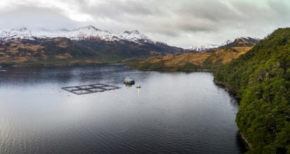 Sernapesca interpone tres denuncias contra Nova Austral ante Tribunales, Fiscalía y Superintendencia de Medio Ambiente por información falsa en sus reportes de mortalidad