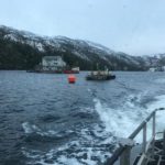 SERNAPESCA suspende certificación a empresa salmonera Nova Austral de Porvenir como centro libre de antibióticos