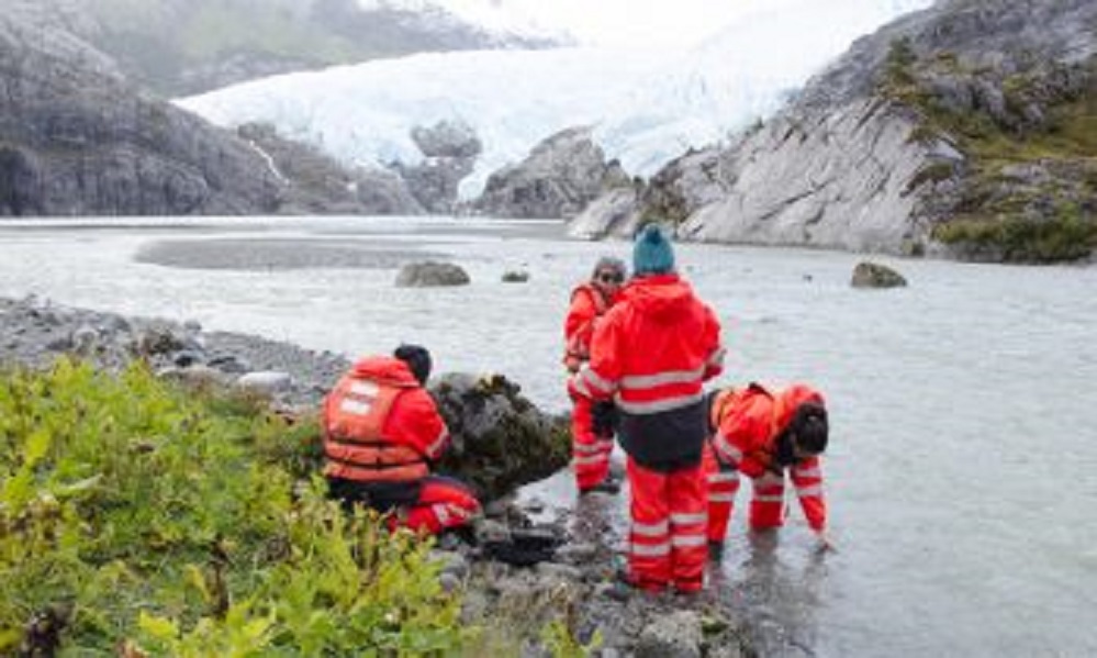 Estudio del Centro IDEAL en Magallanes revela que microalgas de aguas frías podrían ayudar a mitigar el exceso de CO2 en la atmósfera