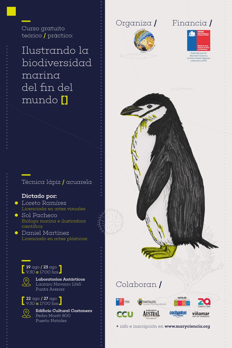 “Ilustrando la biodiversidad marina del fin del mundo”: exitosa convocatoria tuvo curso de ilustración científica en la región de Magallanes