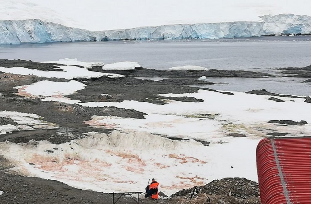 Centro IDEAL lanza volumen especial de investigaciones sobre el cambio climático en la Patagonia y Antártica