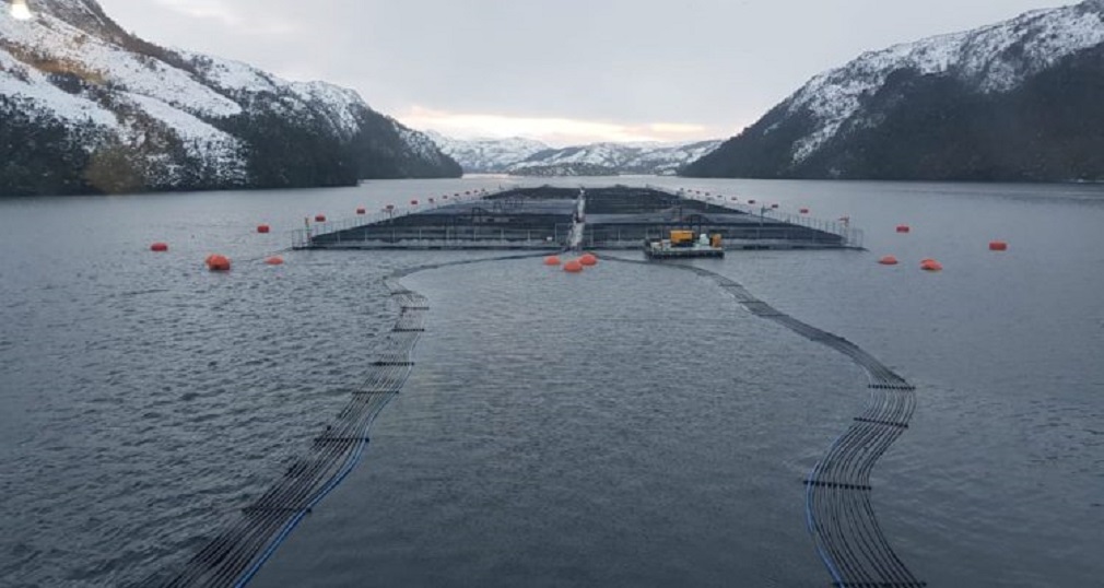 Salmonera Nova Austral de Porvenir deberá enviar análisis por adulterar suelo marino en centro de cultivo de la región de Magallanes