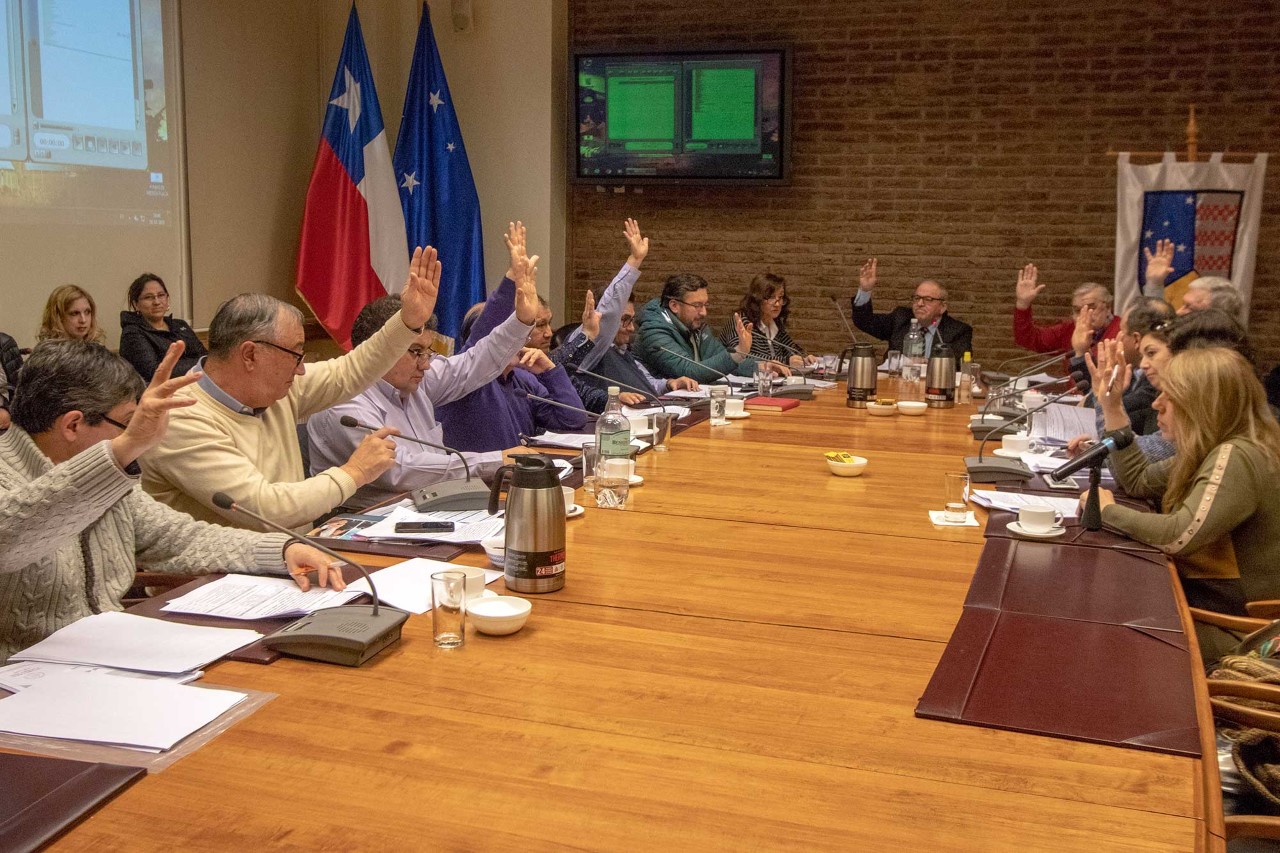 Consejo Regional tomará acciones frente a inminente privatización del Centro ELEAM de Punta Arenas