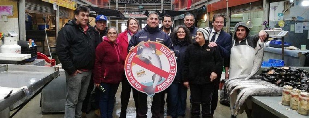 «Paremos el Merluzeo»: durante el mes de agosto rige la veda de la Merluza austral en la región de Magallanes
