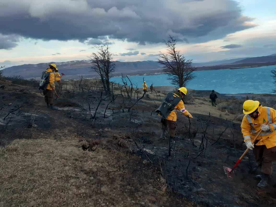 Fuego bajo control: 11 hectáreas consumidas por incendio forestal en Estancia Cerro Guido en Ultima Esperanza