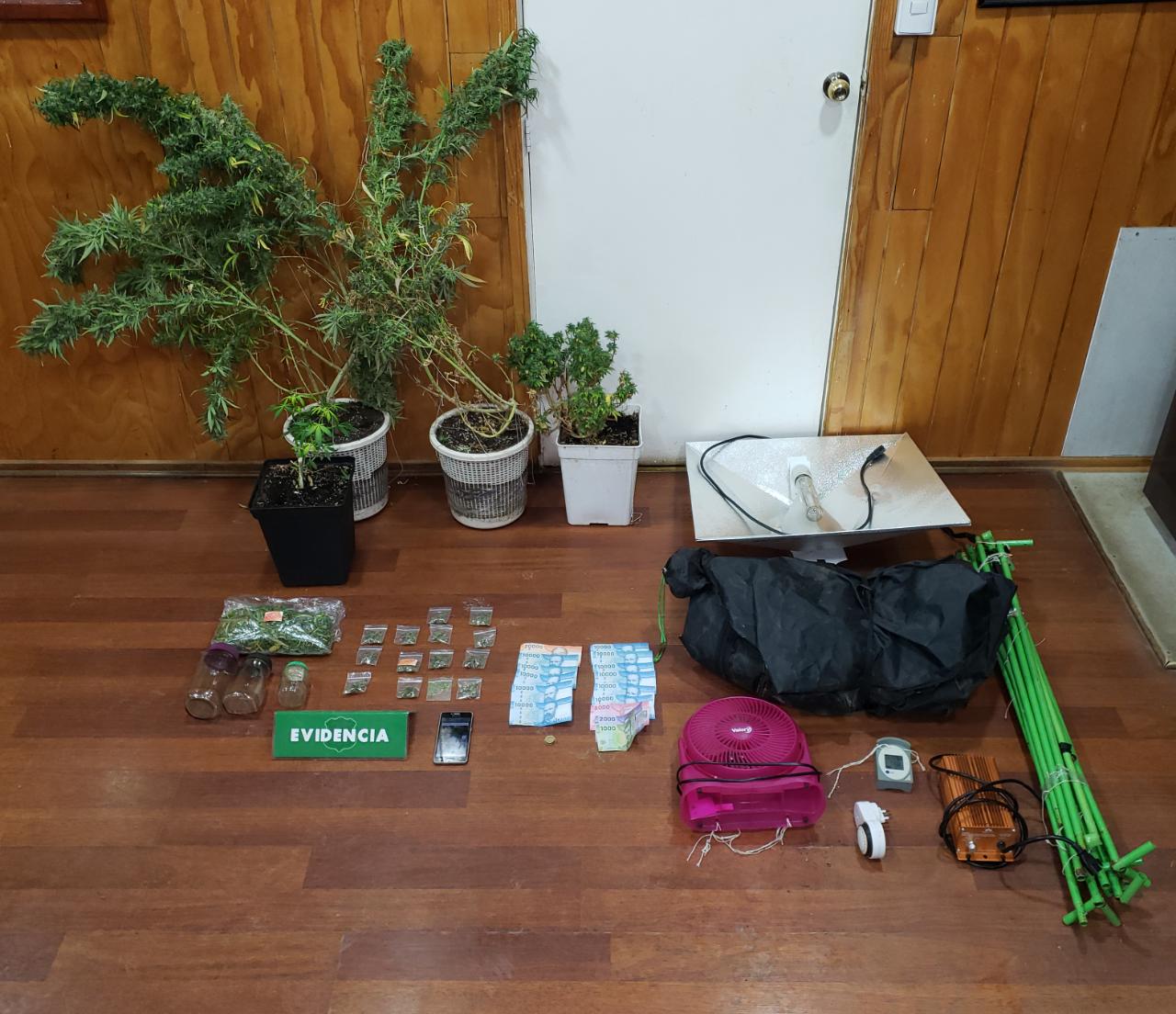 En control vehicular y domicilio de un conductor descubren plantas de cannabis sativa y marihuana