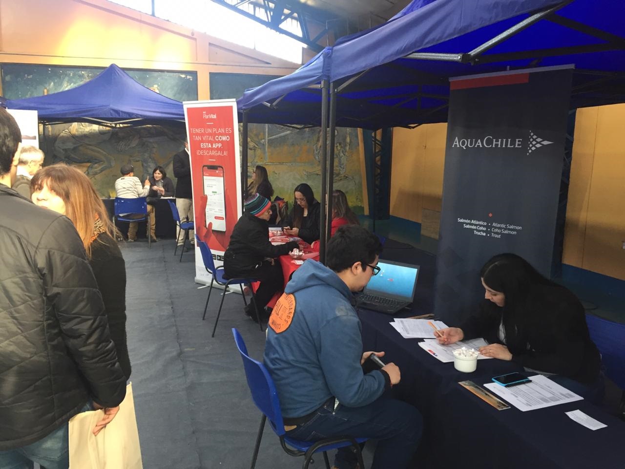 Primera Feria de empleo y emprendimiento de Puerto Natales ofreció 150 cupos laborales