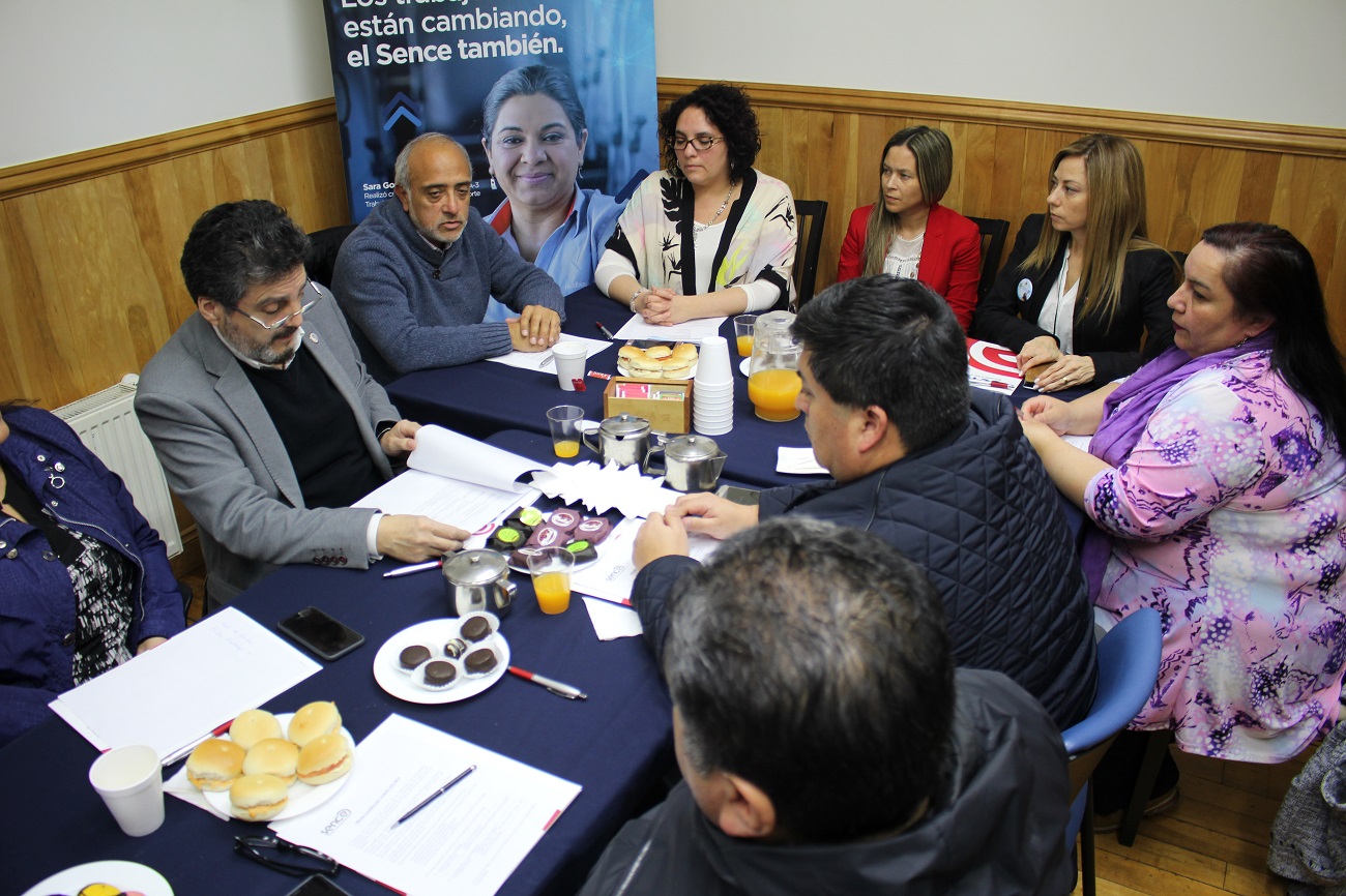 En Magallanes se constituye primer Consejo de la Sociedad Civil de Sence
