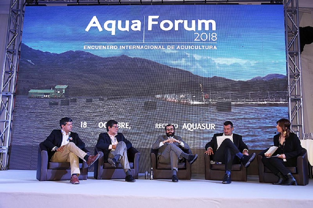 Para noviembre se proyecta en Punta Arenas «Aqua Forum 2019», Encuentro Internacional de Acuicultura