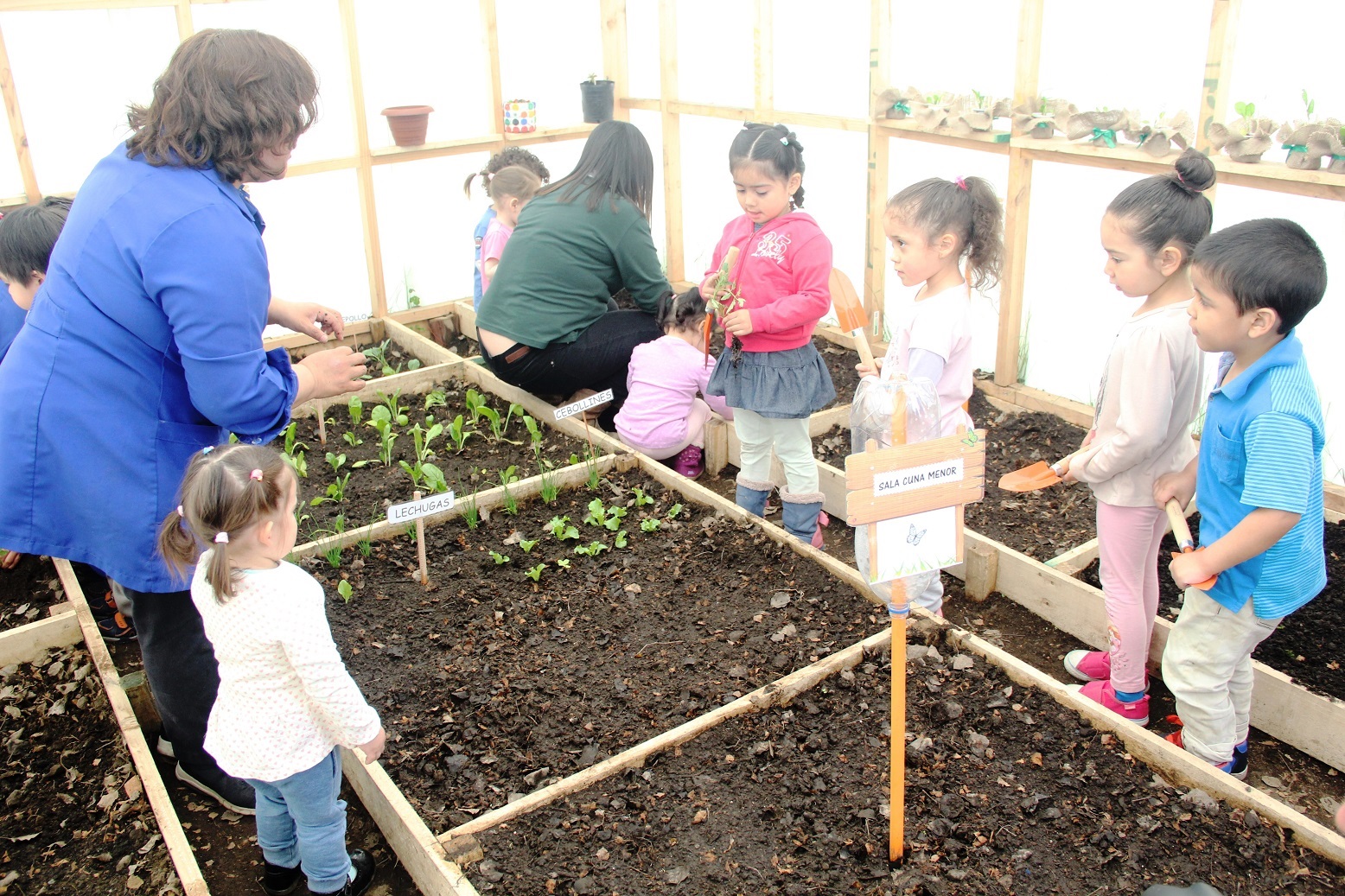 En la Región de Magallanes y de la Antártica Chilena: JUNJI apoya proyectos de centros de madres, padres y apoderados con fondos de Participación Ciudadana