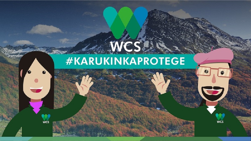 Karukinka Protege: ante amenazas ambientales, WCS Chile busca salvar el área protegida más grande de Tierra del Fuego