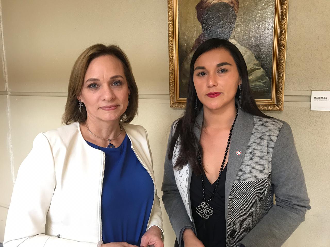 Colegio Médico y senadora Goic promueven disponer de más oncólogos en Magallanes