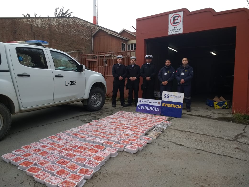 Incautan 173 kilos de centolla ilegal en el terminal Tres Puentes de Punta Arenas