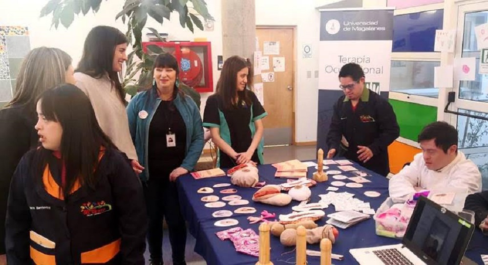 Feria de Salud Inclusiva efectuó el SENADIS en Punta Arenas