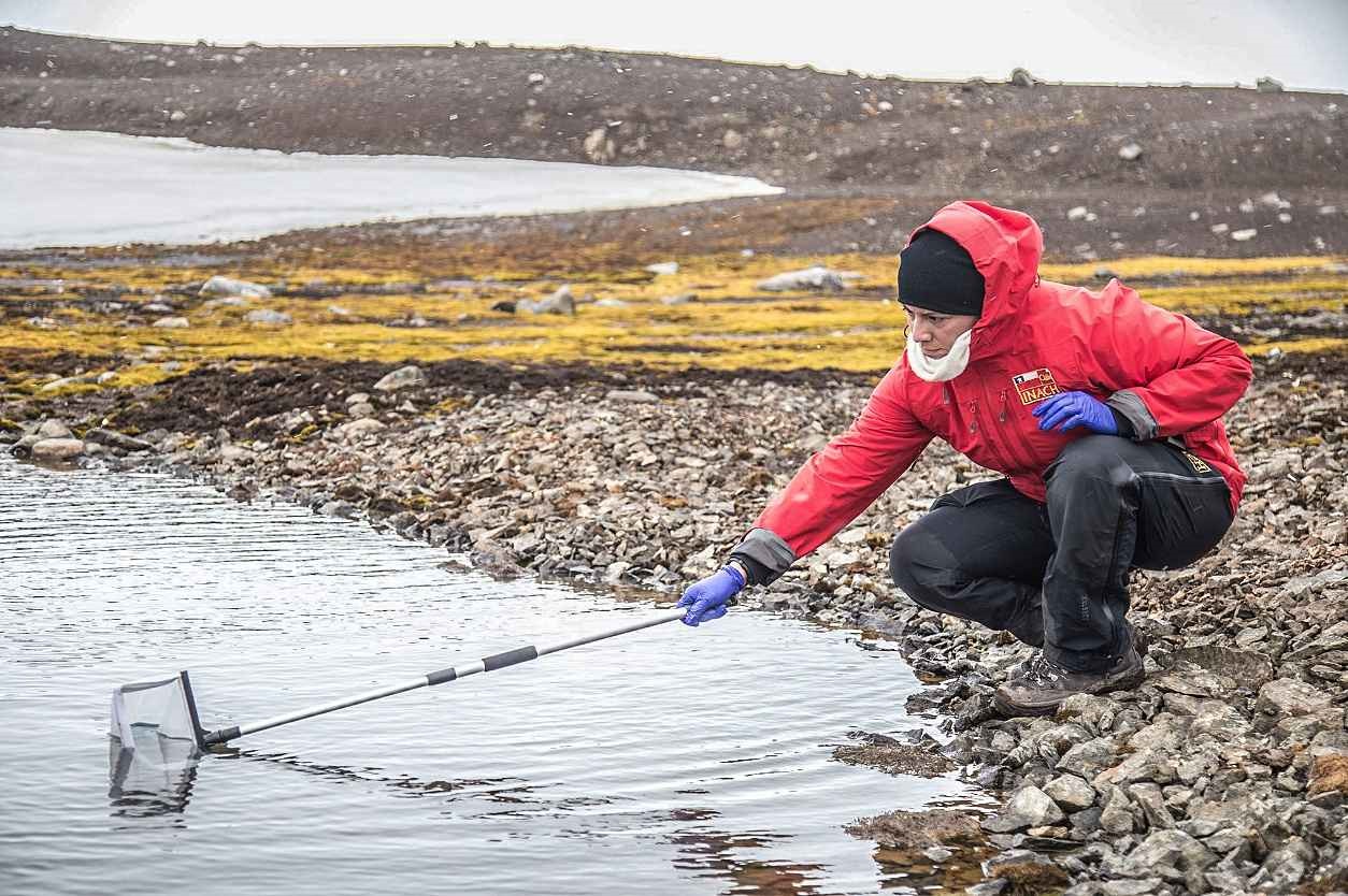 Invitan a estudiantes universitarios de pregrado a realizar su Tesis con estadía en la Antártica