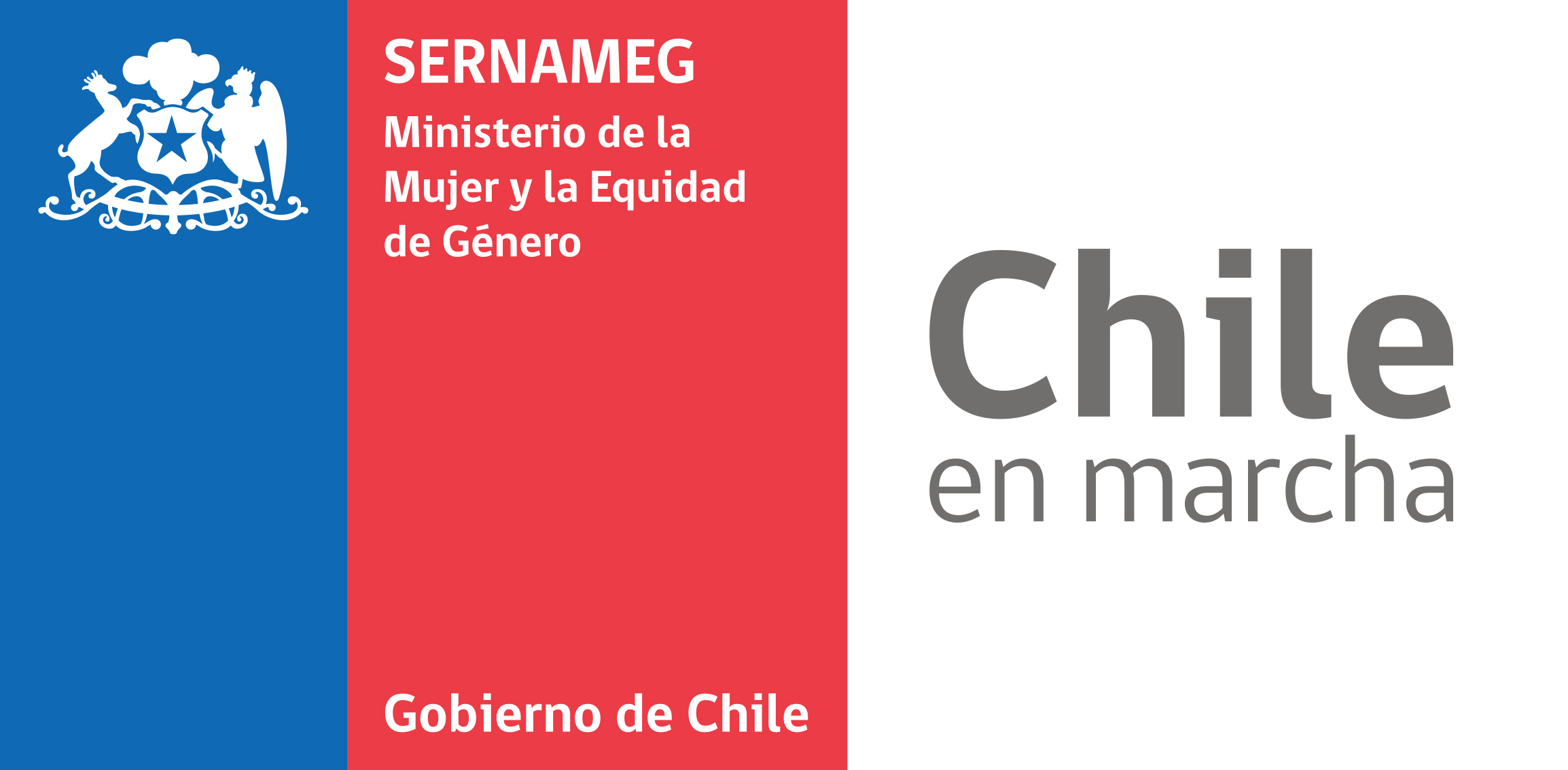 Escuela de Líderes Políticas organiza SERNAMEG en Magallanes