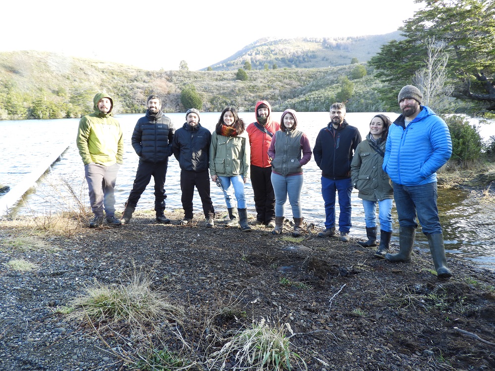 Investigan presencia de castores en el sector de Punta Santa Ana y Fuerte Bulnes en Magallanes