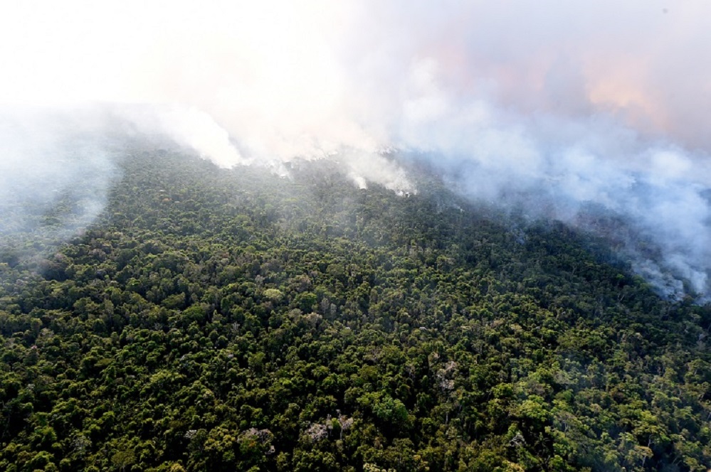 El fuego continúa avanzando en la selva del Amazonas