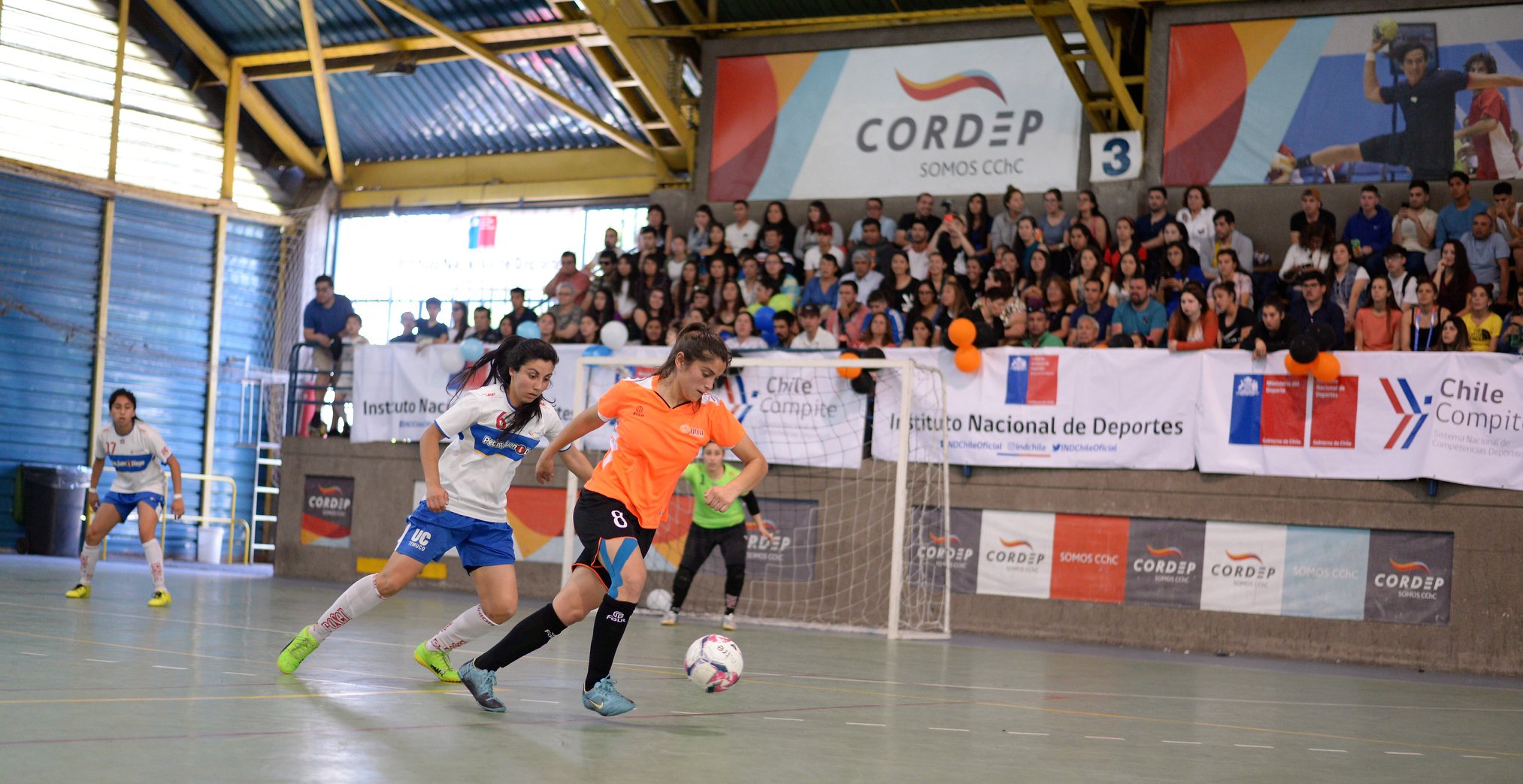 Final Nacional de las Ligas Deportivas de Educación Superior en Magallanes será reprogramada debido a la situación de contingencia