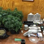 Dos sujetos que apuñalaron con arma blanca a una mujer, fueron detenidos por agresión y tenencia de 46 plantas de cannabis sativa y 2 kilos de marihuana