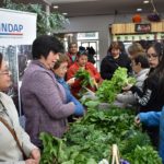 En Punta Arenas se conmemoró el Día Mundial de la Alimentación con feria de hortalizas regionales y mesas educativas
