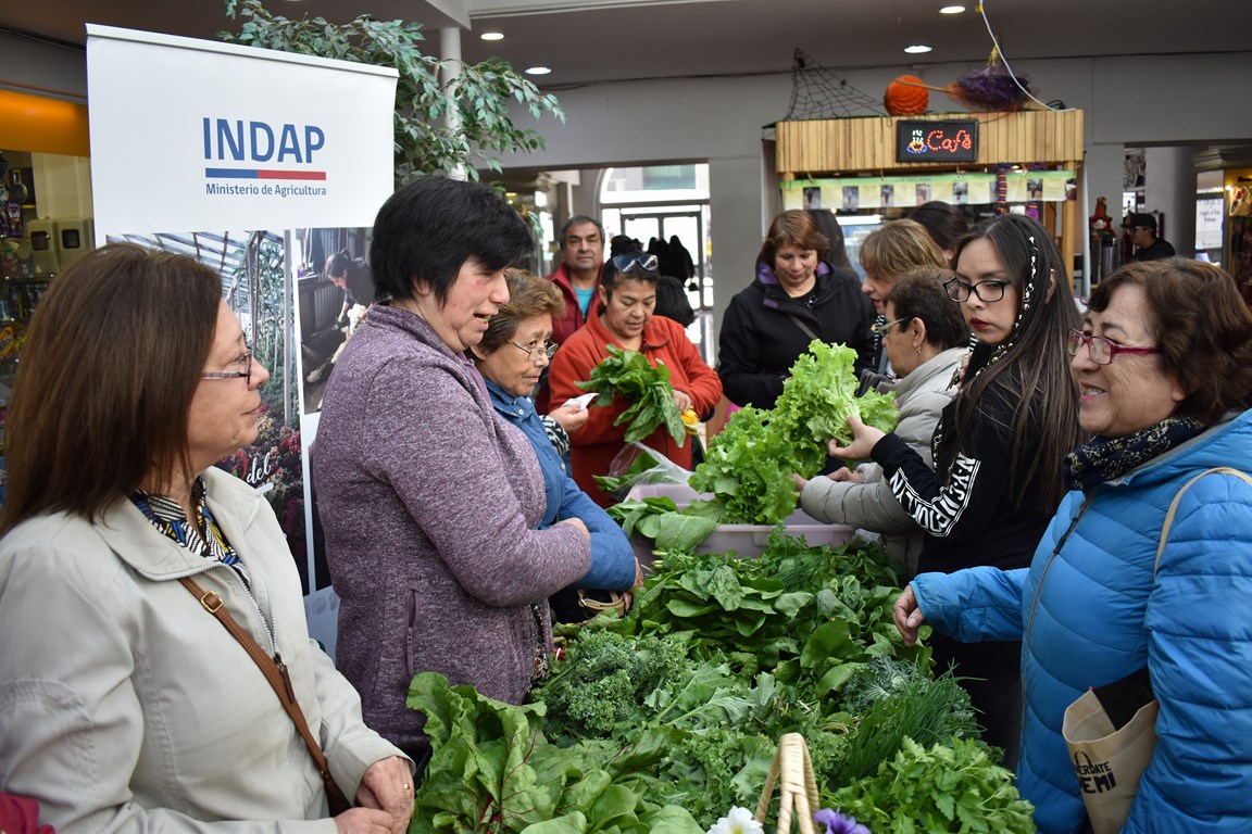 En Punta Arenas se conmemoró el Día Mundial de la Alimentación con feria de hortalizas regionales y mesas educativas