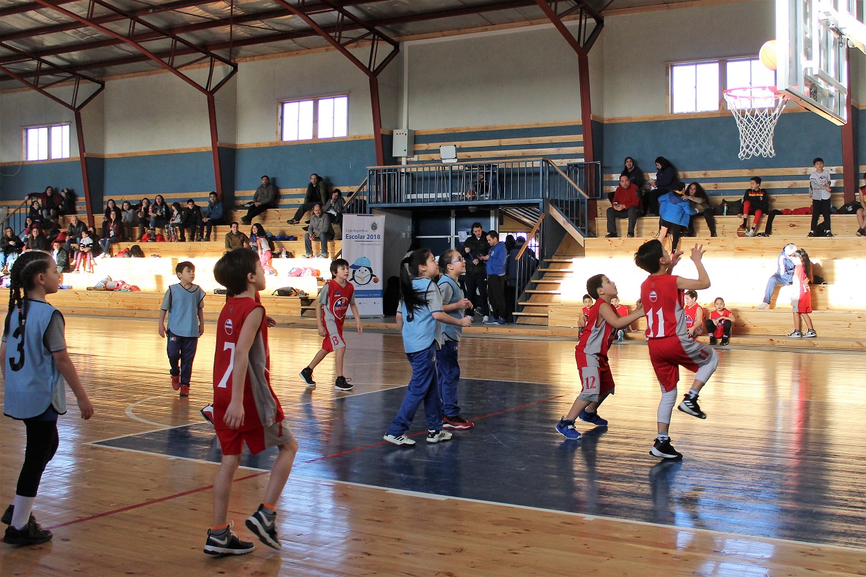 Resultados y programación de la Liga Deportiva Escolar de Punta Arenas