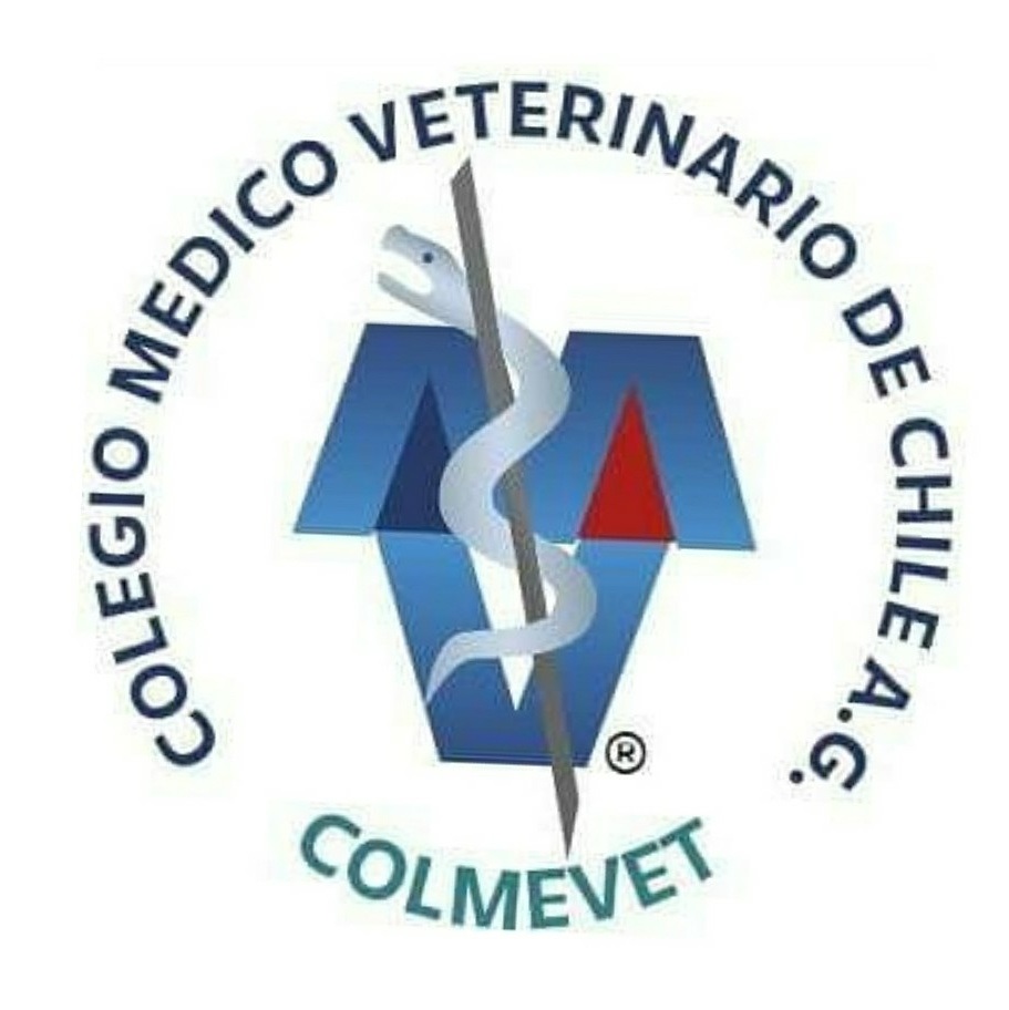 Presidente Colegio Médico Veterinario:  “Los médicos veterinarios somos claves en el ecosistema sanitario de Chile”
