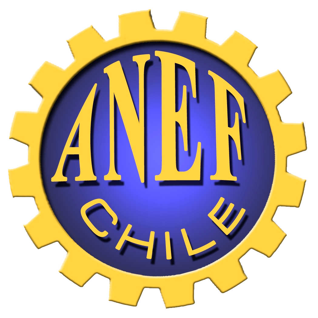 ANEF Magallanes informa continuidad del paro general de servicios públicos en la región