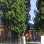 CORE Magallanes sesionará en la comuna de San Gregorio