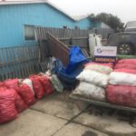 Cerca de 3 toneladas de centolla hembra han sido decomisadas por Carabineros en Porvenir