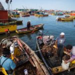 Ministro Fontaine rechaza límites a cesión de cuotas pesqueras artesanales en la región de Magallanes y otras regiones: la comisión de Pesca del Senado aprobó una disposición que no cuenta con el respaldo del Ejecutivo