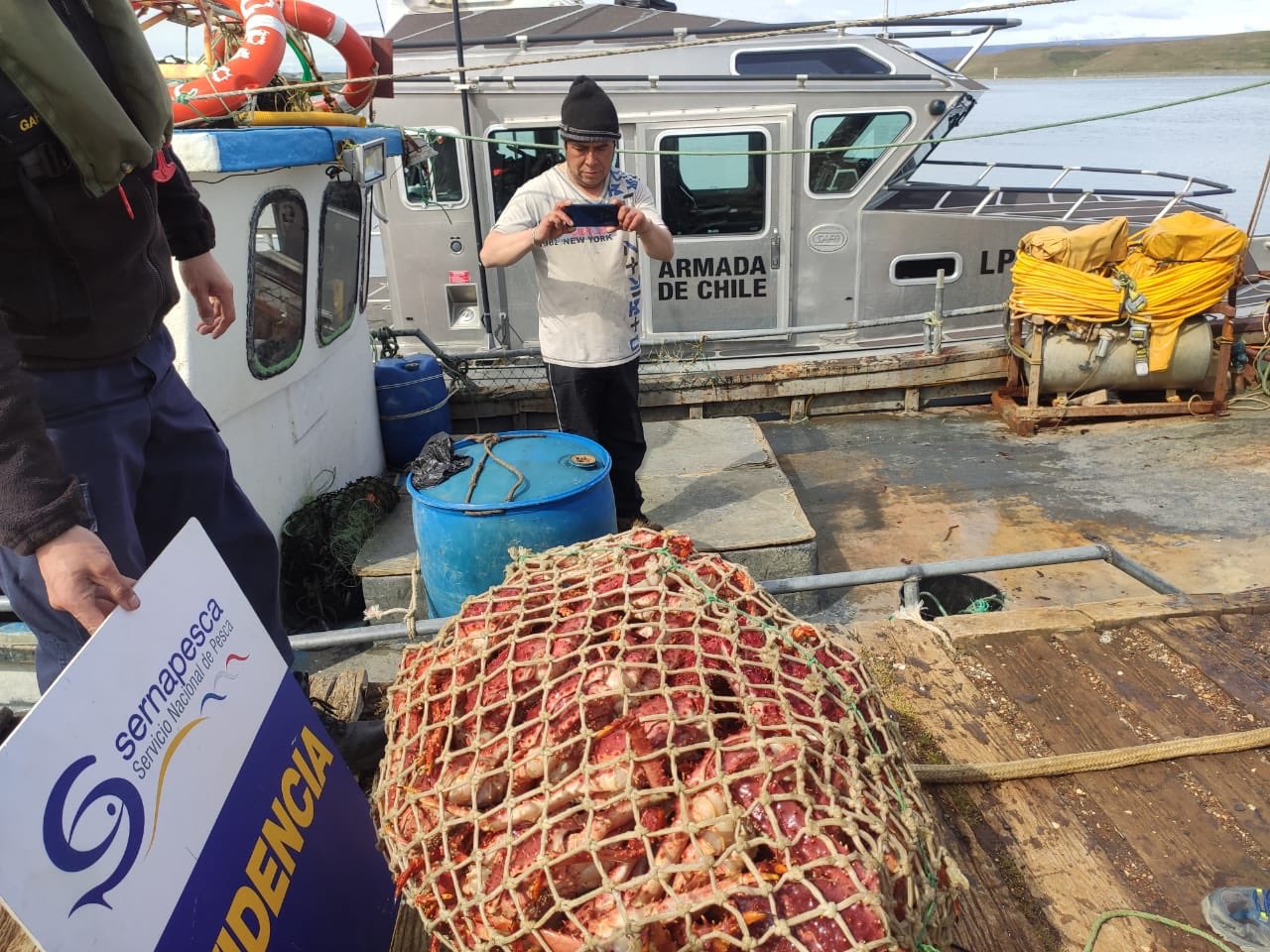 Incautan 128 kilos de centolla ilegal en Tierra del Fuego: tras el procedimiento, fue devuelta al mar