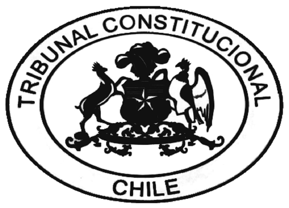 Coordinadora No + AFP de Magallanes valora resolución del Tribunal Constitucional sobre caso de Beatriz Valenzuela