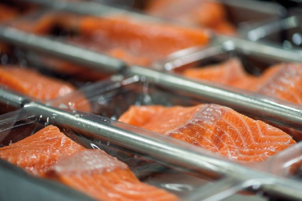 Suben en un 22% los precios internacionales del salmón, tras el estallido social en Chile