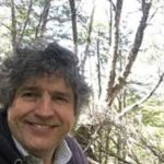 Nacimiento y muerte de la Constitución – Ernesto Sepúlveda – Opiniones