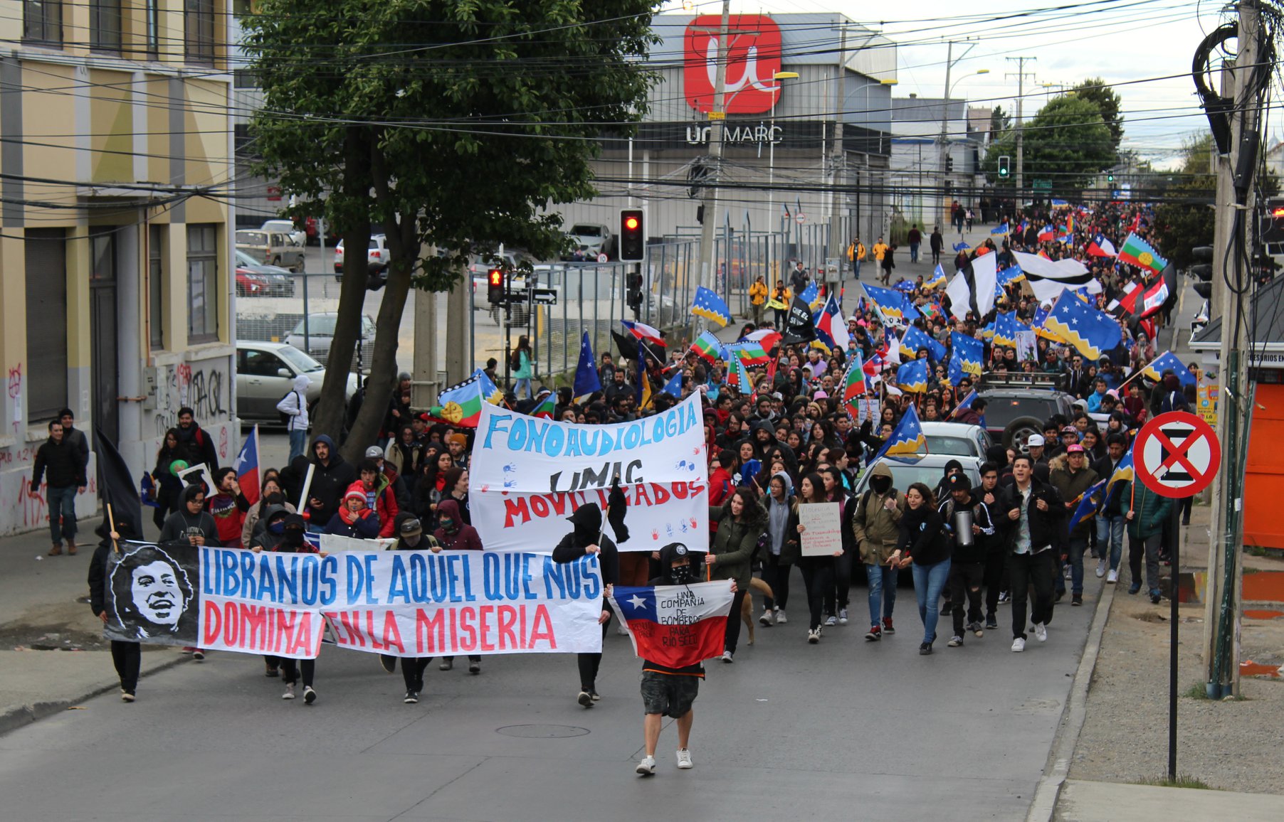 Unas 3.000 personas marcharon esta tarde por el centro de Punta Arenas