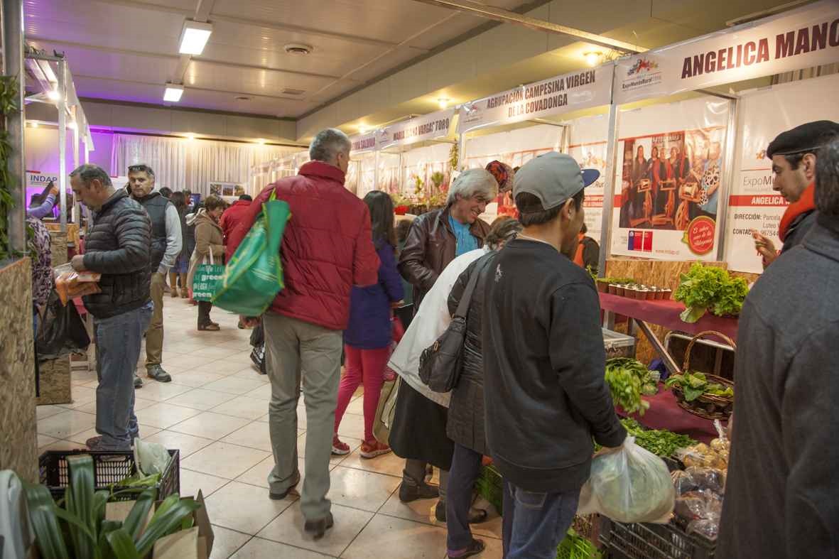 Frutillas, rabanitos, ruibarbo y hortalizas frescas destacan en Mercado Campesino que se realiza en Punta Arenas