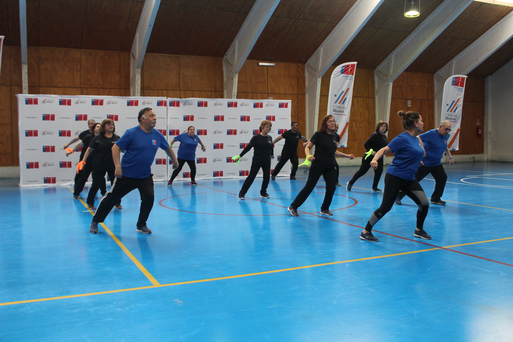 En Magallanes aumentó durante 2019 el número de personas participantes en talleres y programas del IND