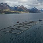 AquaForum: encuentro internacional de la salmonicultura se efectuará en Punta Arenas