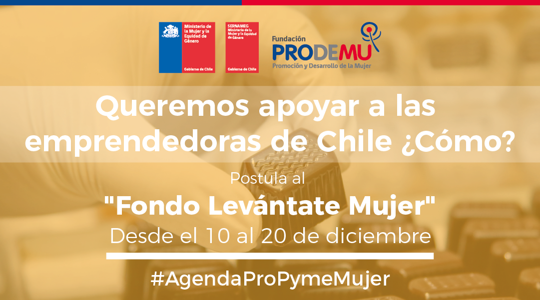 Emprendedoras de Magallanes podrán acceder a beneficios de fondo Levántate Mujer