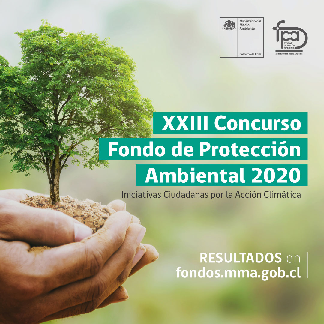 Cuatro organizaciones regionales resultaron ganadoras del XXIII Fondo de Protección Ambiental 2020