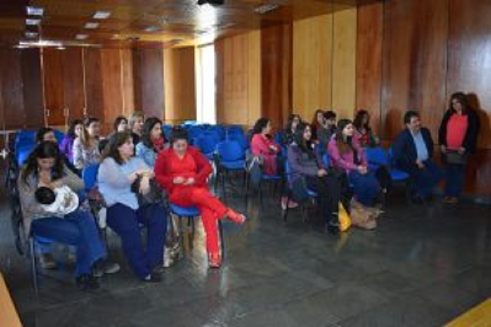 18 profesionales de Salud se capacitaron en base a la Iniciativa de Establecimientos de Salud Amigos de la Madre y del Niño y la Niña en Magallanes