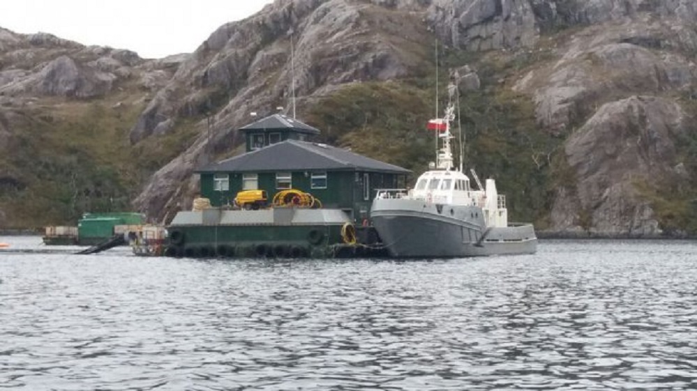 Empresa salmonera Nova Austral busca relocalizar centros de cultivo en la región de Magallanes