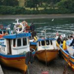 Gobierno entrega aportes a 4.400 pescadores y asigna plantas de agua a 17 caletas