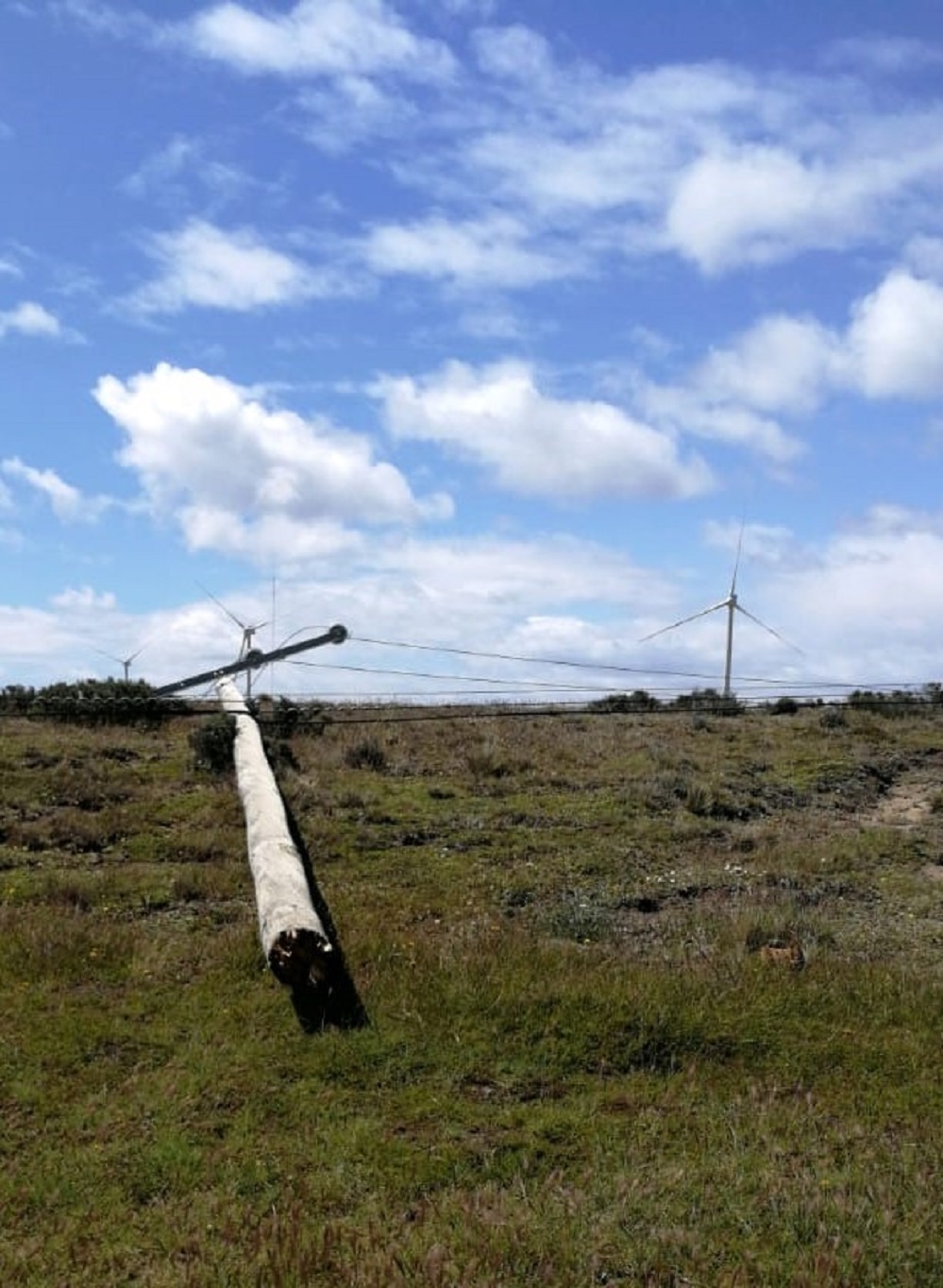 Interrupción de suministro eléctrico afecta a sector norte de Punta Arenas